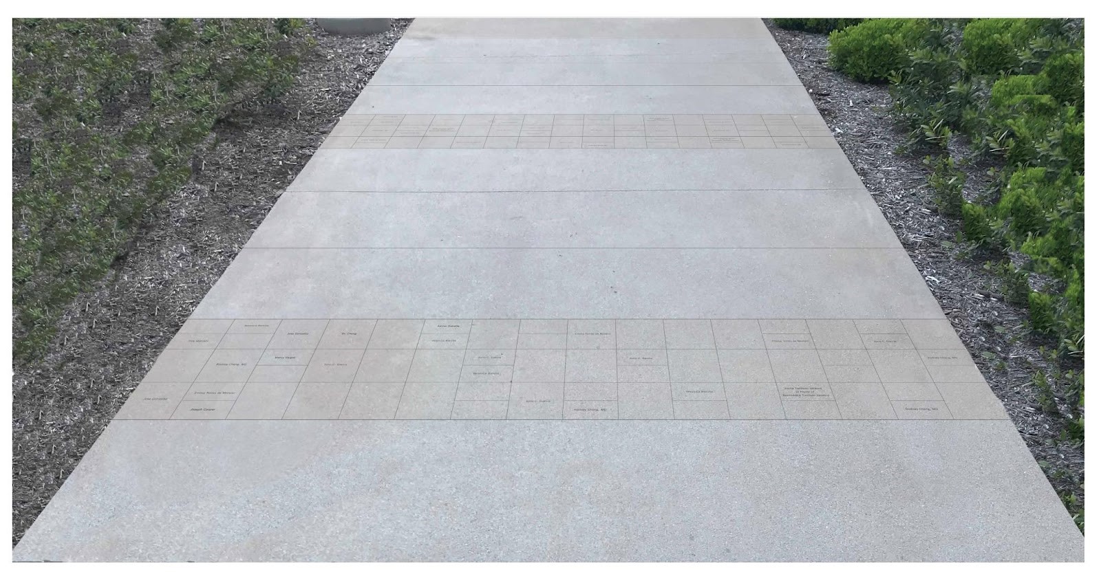 Rendering of donor tiles on a walkway