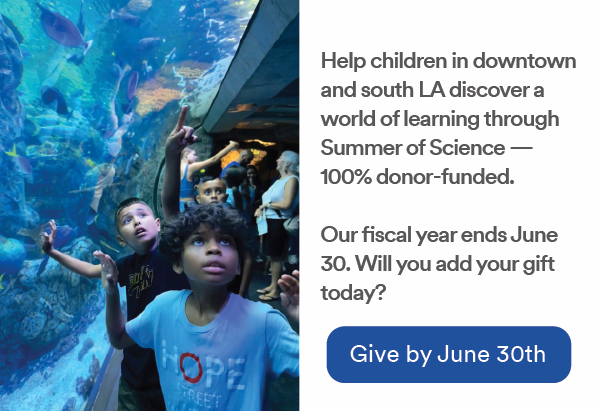 Help children in downtown and south LA discover a world of learning through Summer of Science &mdash; 100% donor-funded. Our fiscal year ends June 30. Will you add your gift today? Give by June 30th