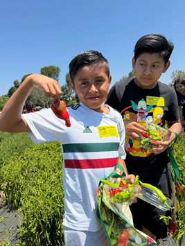 Students at Tanaka Farms