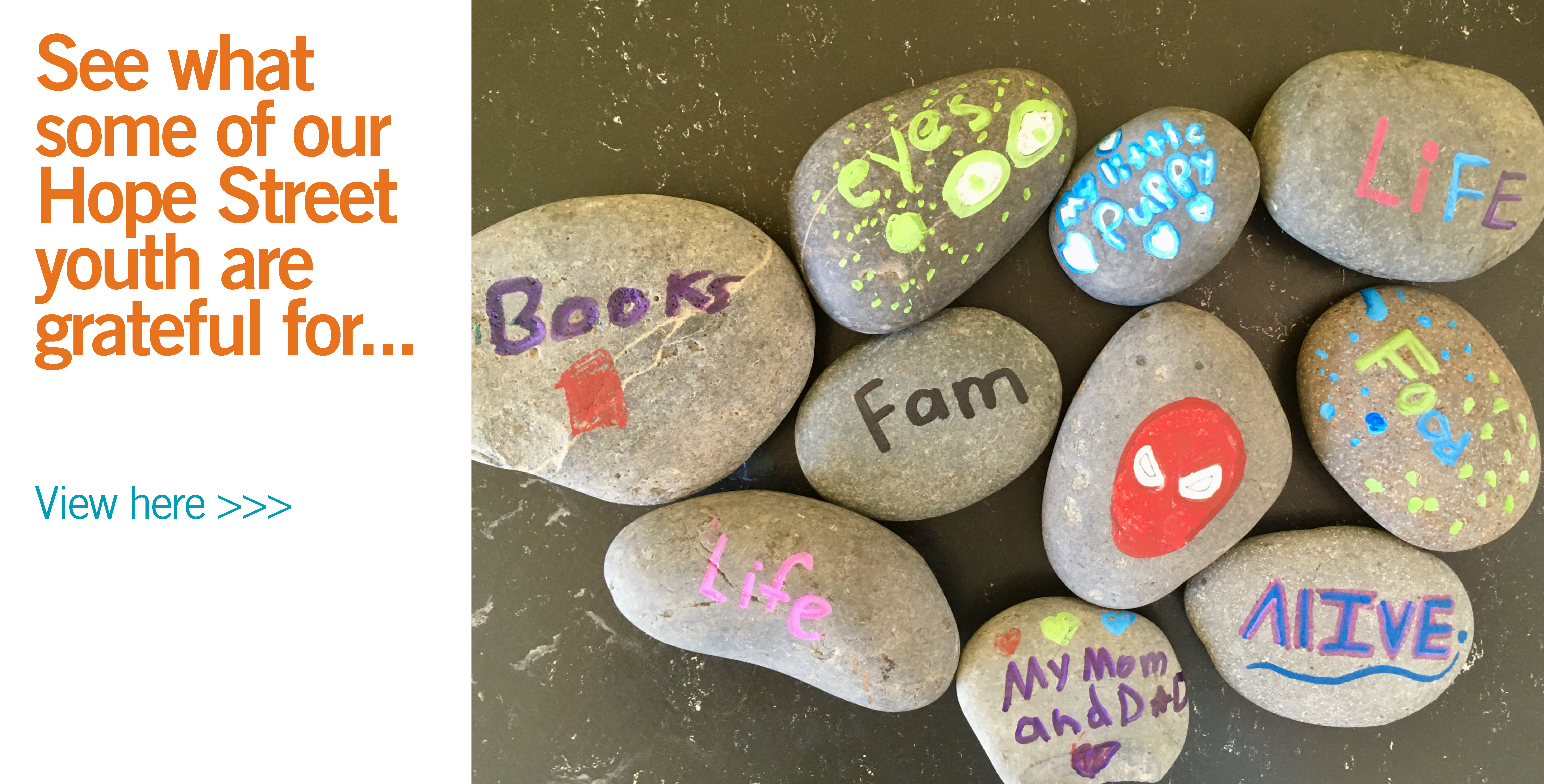 See what some of our Hope Street youth are grateful for. View here